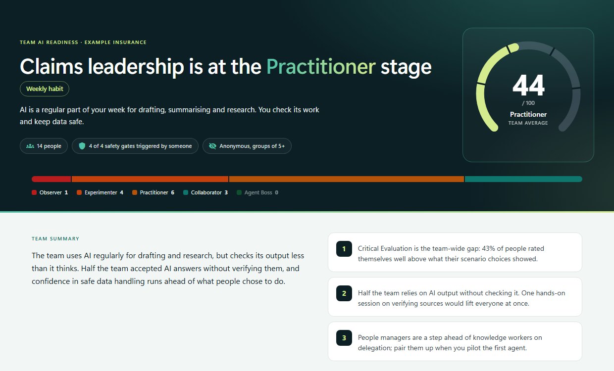 Example anonymous team report for a fictional insurer: 14 people, a team average of 44 at the Practitioner stage, how people spread across the five stages, and a team summary